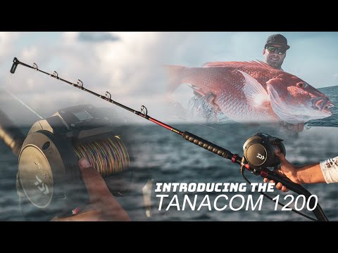 Load and play video in Gallery viewer, Daiwa Tanacom 1200 Electric Reel
