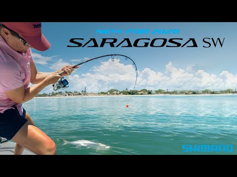 Load and play video in Gallery viewer, Shimano Saragosa SW Spinning Reel
