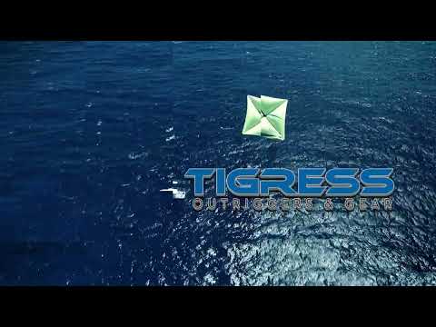 Tigress Kite Thong