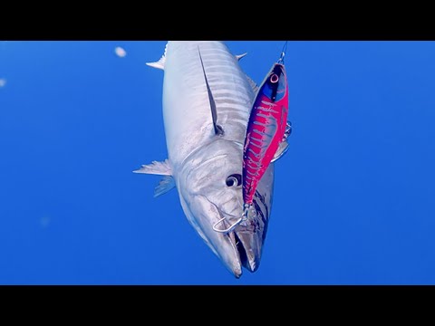 Load and play video in Gallery viewer, Nomad Design MadMacs High-Speed Trolling Lure
