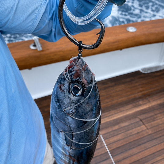 Ringer Swivel with circle hook rigged on baitfish for offshore fishing