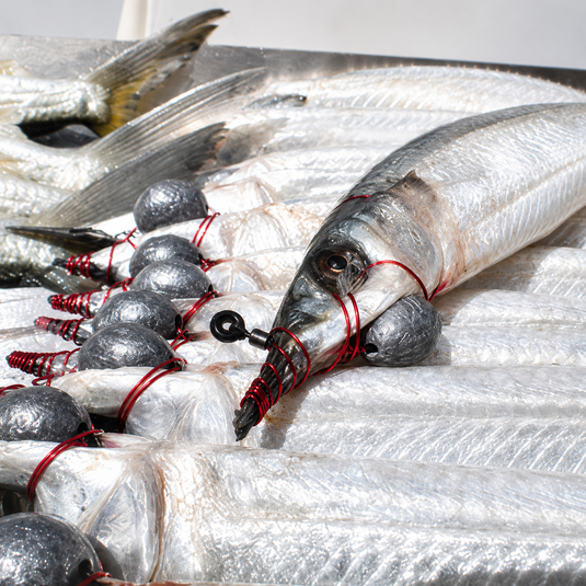 Baitfish rigged with Ringer Swivels red pre-twisted wire for offshore fishing