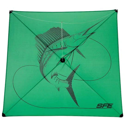 SFE Kites