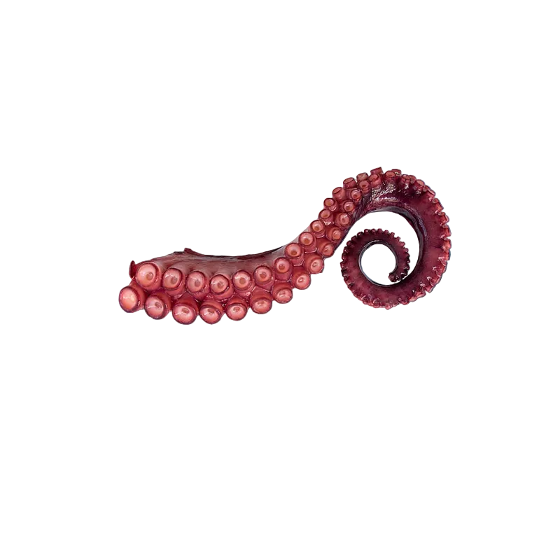Load image into Gallery viewer, Squid Tentacles
