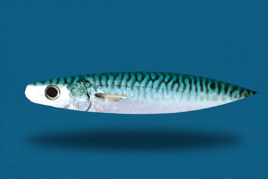 FIRETAILZ 11” Tinker Mackerel Dredge Strips