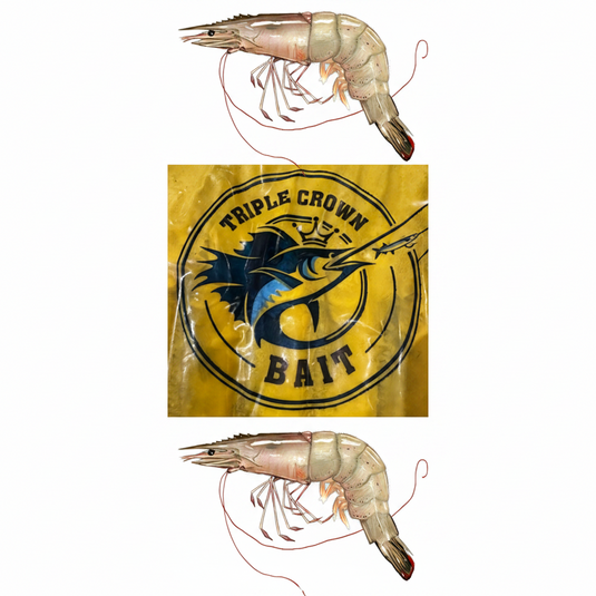 Triple Crown Shrimp